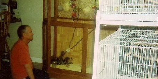 Aviary vs. Wire Cage